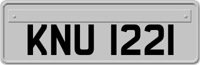 KNU1221