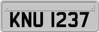 KNU1237