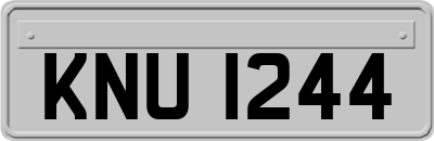 KNU1244