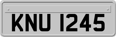 KNU1245