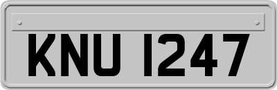 KNU1247