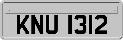 KNU1312