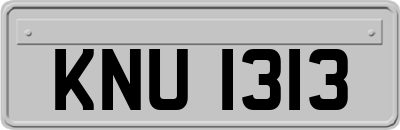 KNU1313