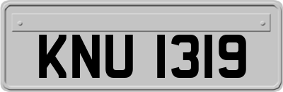 KNU1319