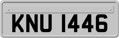 KNU1446