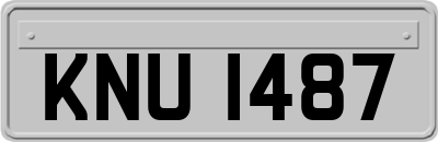 KNU1487