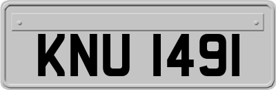 KNU1491