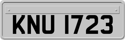 KNU1723