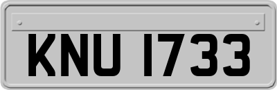 KNU1733