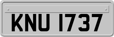 KNU1737
