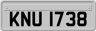 KNU1738