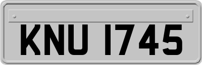 KNU1745