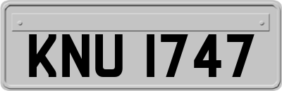 KNU1747