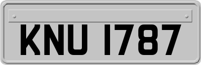 KNU1787