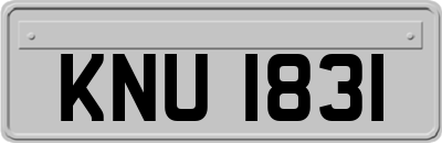 KNU1831