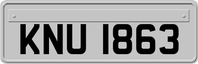 KNU1863