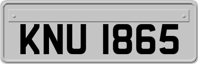 KNU1865