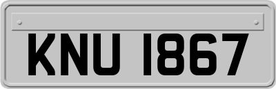 KNU1867