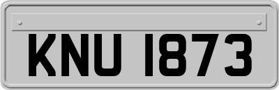 KNU1873