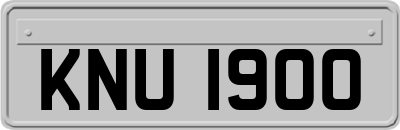 KNU1900