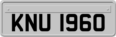 KNU1960
