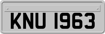 KNU1963