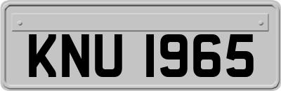 KNU1965