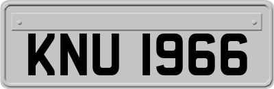 KNU1966