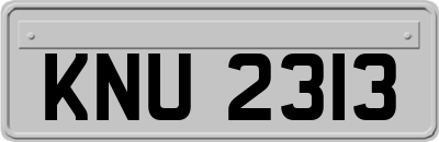 KNU2313