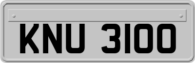 KNU3100