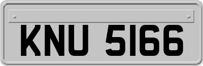 KNU5166