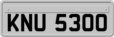 KNU5300