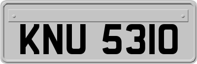 KNU5310