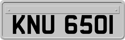 KNU6501