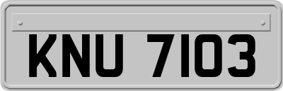 KNU7103