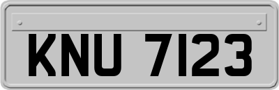 KNU7123