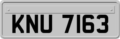 KNU7163