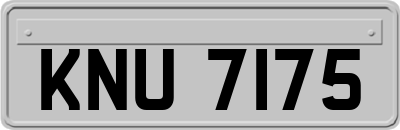 KNU7175