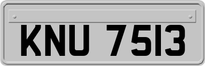 KNU7513