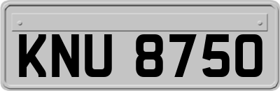 KNU8750