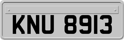 KNU8913