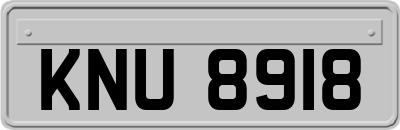 KNU8918