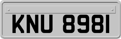 KNU8981