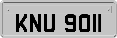 KNU9011