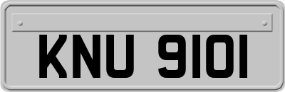 KNU9101