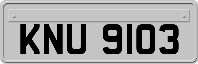 KNU9103