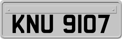 KNU9107