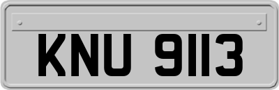 KNU9113