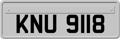 KNU9118