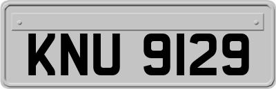KNU9129